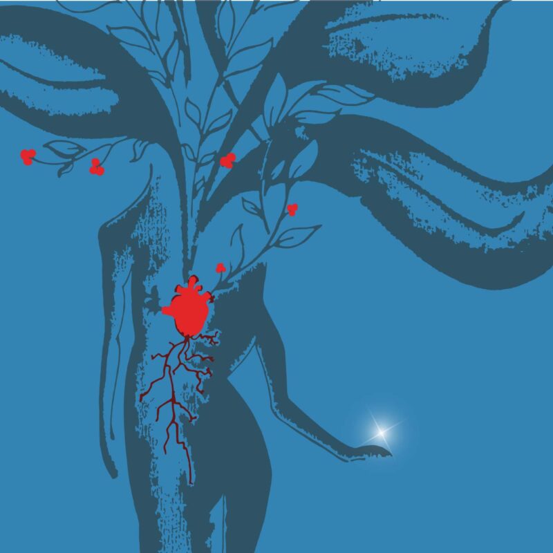 Campagna abbonamenti stagione 2025/26