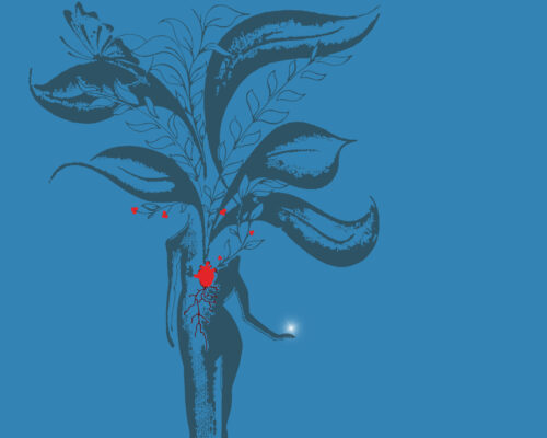 Il Teatro Che Verrà